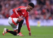 阿森纳球员脚踝受伤，需休战数周