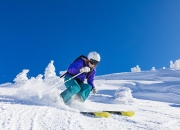 蒂姆重要时刻刷新纪录，西班牙队带队取胜！全场沸腾不已